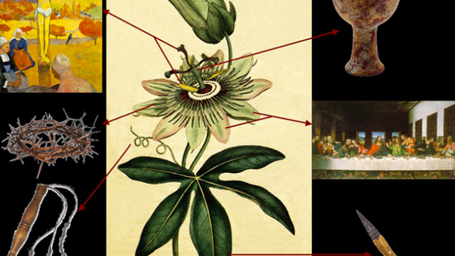 How a Small Ocoee Flower Shares a Big Story