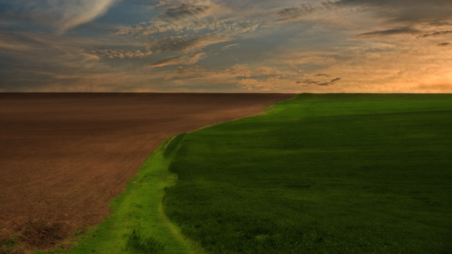 The Land of Pentecostals